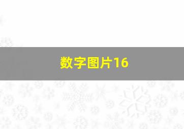 数字图片16