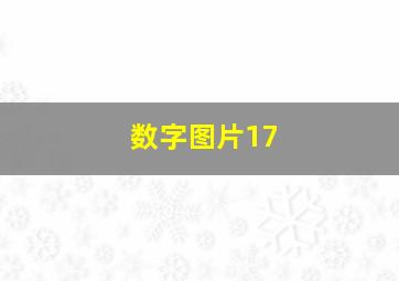 数字图片17