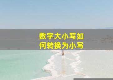 数字大小写如何转换为小写