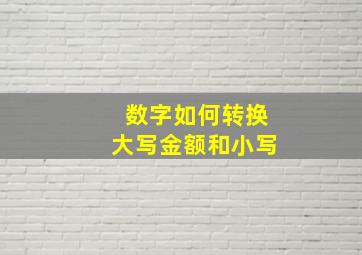 数字如何转换大写金额和小写