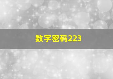 数字密码223