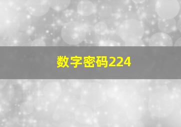 数字密码224