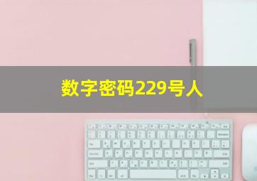 数字密码229号人