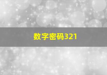 数字密码321