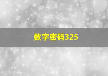 数字密码325