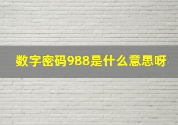 数字密码988是什么意思呀