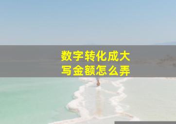 数字转化成大写金额怎么弄