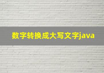 数字转换成大写文字java