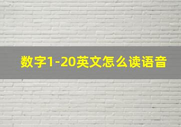 数字1-20英文怎么读语音