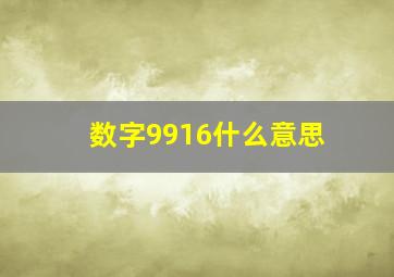 数字9916什么意思