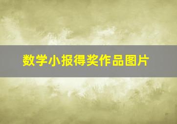 数学小报得奖作品图片