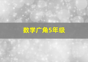 数学广角5年级