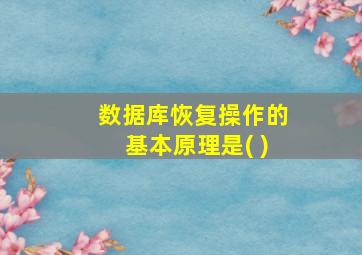 数据库恢复操作的基本原理是( )