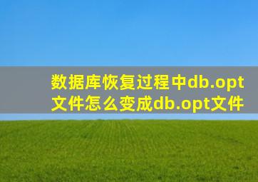 数据库恢复过程中db.opt文件怎么变成db.opt文件