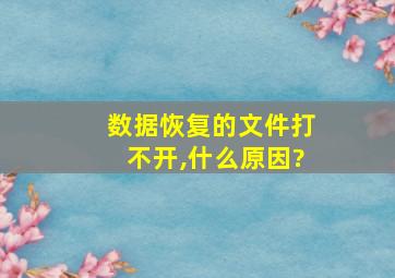 数据恢复的文件打不开,什么原因?