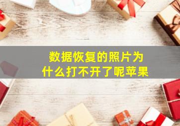 数据恢复的照片为什么打不开了呢苹果