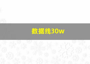 数据线30w