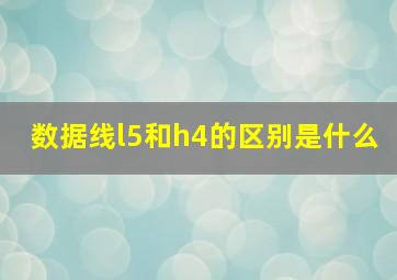 数据线l5和h4的区别是什么