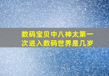 数码宝贝中八神太第一次进入数码世界是几岁