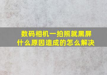 数码相机一拍照就黑屏什么原因造成的怎么解决