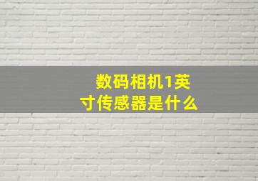 数码相机1英寸传感器是什么