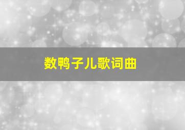 数鸭子儿歌词曲