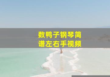 数鸭子钢琴简谱左右手视频