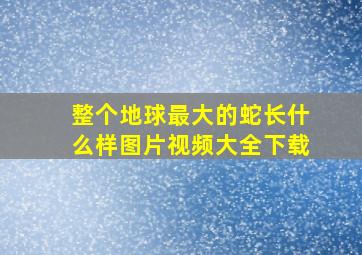 整个地球最大的蛇长什么样图片视频大全下载