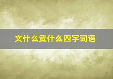 文什么武什么四字词语