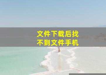 文件下载后找不到文件手机