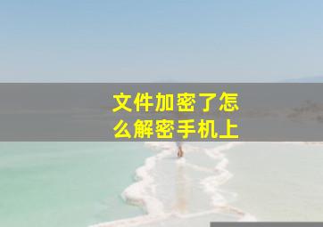 文件加密了怎么解密手机上