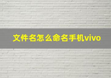 文件名怎么命名手机vivo