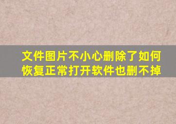 文件图片不小心删除了如何恢复正常打开软件也删不掉