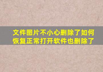 文件图片不小心删除了如何恢复正常打开软件也删除了