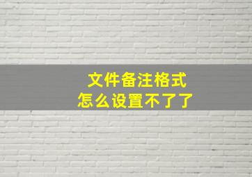 文件备注格式怎么设置不了了