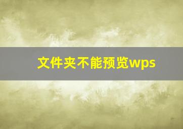 文件夹不能预览wps