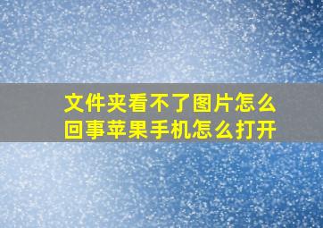 文件夹看不了图片怎么回事苹果手机怎么打开