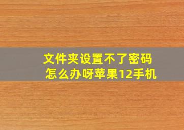 文件夹设置不了密码怎么办呀苹果12手机