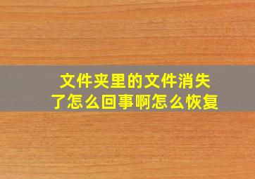 文件夹里的文件消失了怎么回事啊怎么恢复