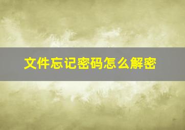 文件忘记密码怎么解密