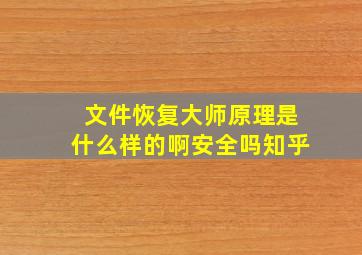 文件恢复大师原理是什么样的啊安全吗知乎