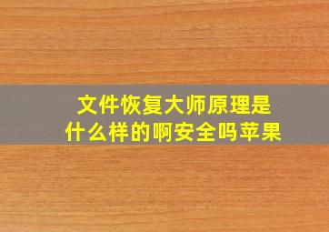 文件恢复大师原理是什么样的啊安全吗苹果