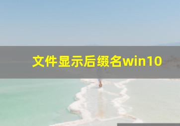 文件显示后缀名win10