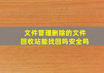 文件管理删除的文件回收站能找回吗安全吗