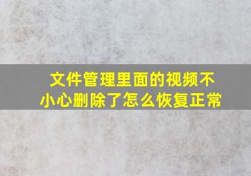 文件管理里面的视频不小心删除了怎么恢复正常