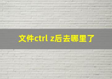 文件ctrl z后去哪里了