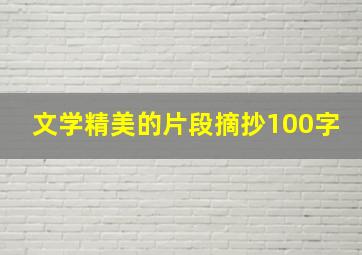 文学精美的片段摘抄100字