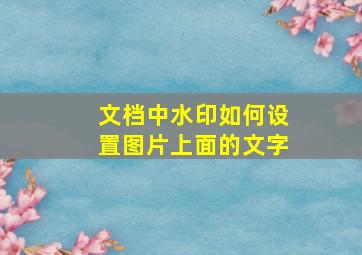 文档中水印如何设置图片上面的文字