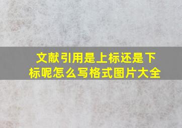 文献引用是上标还是下标呢怎么写格式图片大全