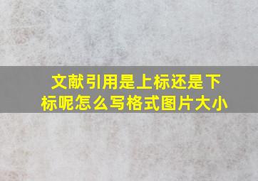 文献引用是上标还是下标呢怎么写格式图片大小